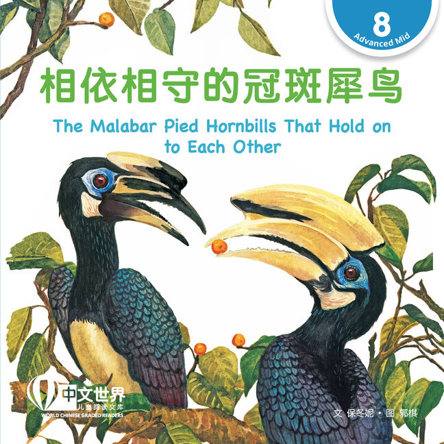 World Chinese Graded Readers:  相依相守的冠斑犀鸟 The Malabar Pied Hornbills That Hold on to Each Other (Level 8)